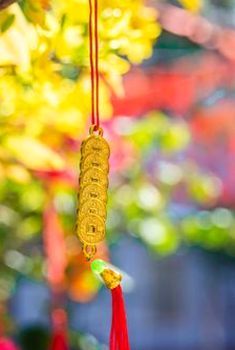 chia sẻ kinh nghiệm Sodo
